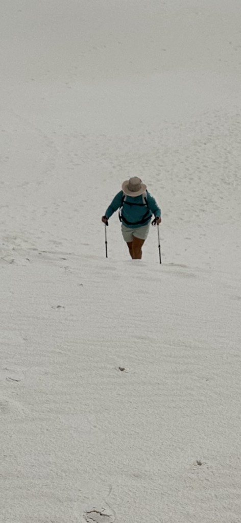 woman hiker with dog in backpack hiking up white sand dune